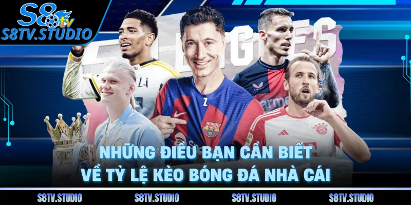Những điều bạn cần biết về tỷ lệ kèo bóng đá nhà cái 